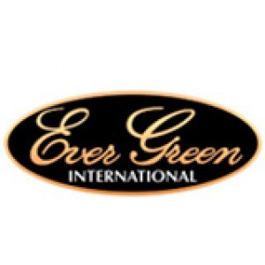 Воблеры Evergreen