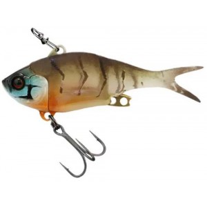 Maruhata Suji Shrimp